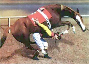 A man riding on the back of a horse.