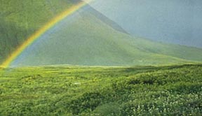 A rainbow over the mountains and green grass.