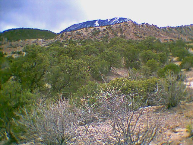 A mountain range with trees in the foreground.