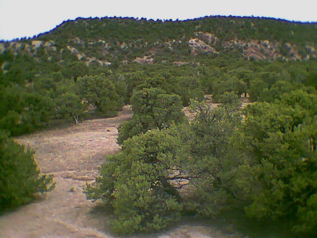 A view of trees and mountains from above.